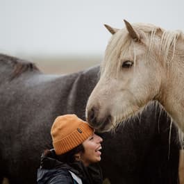 A girl in a yellow hat stands next to white and black Icelandic horses