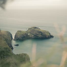 A moody day on the coast of Ireland's coastal causeway, looking at the ocean through the brush