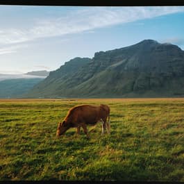 A South Iceland Photography Adventure