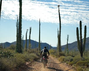 Bike Packing Baja w/ My Favorite Camera Filters | Photo Essay