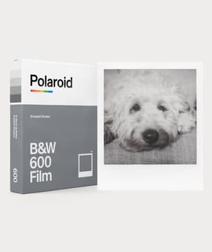 Moment polaroid 6003 BW Filmfor600 02