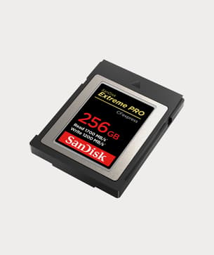 Moment sandisk SDCFXPS 256 G A46 ANCNN Extreme Pro C Fexpress Card 256 GB 02