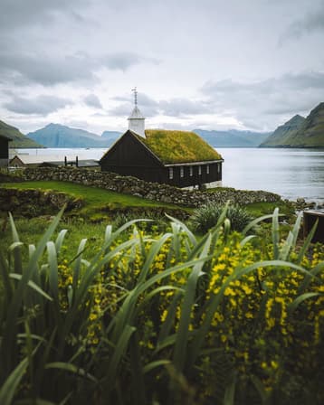 A black and white church sits on the coast of the Faroe Islands, with it's roof covered in grass and yellow flower surrounding the meadow around it