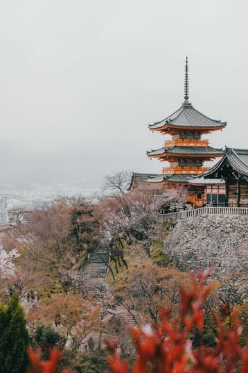 A temple in Kyoto behind red foliage on a foggy day in Japan taken by Erica Coble @filmandpixel