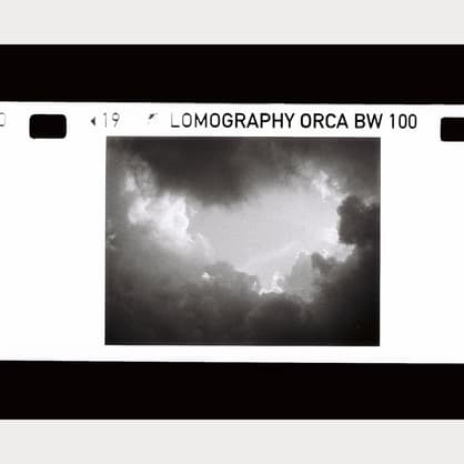 Moment Lomography F110 BW1 BW Orca 110 100 ASA Single Pack 05