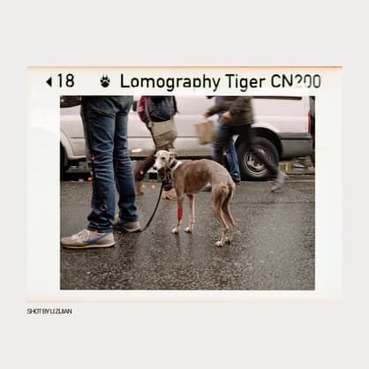 Moment Lomography F110 C3 Tiger 110 Color Film 05