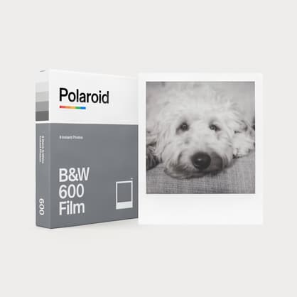 Moment polaroid 6003 BW Filmfor600 02