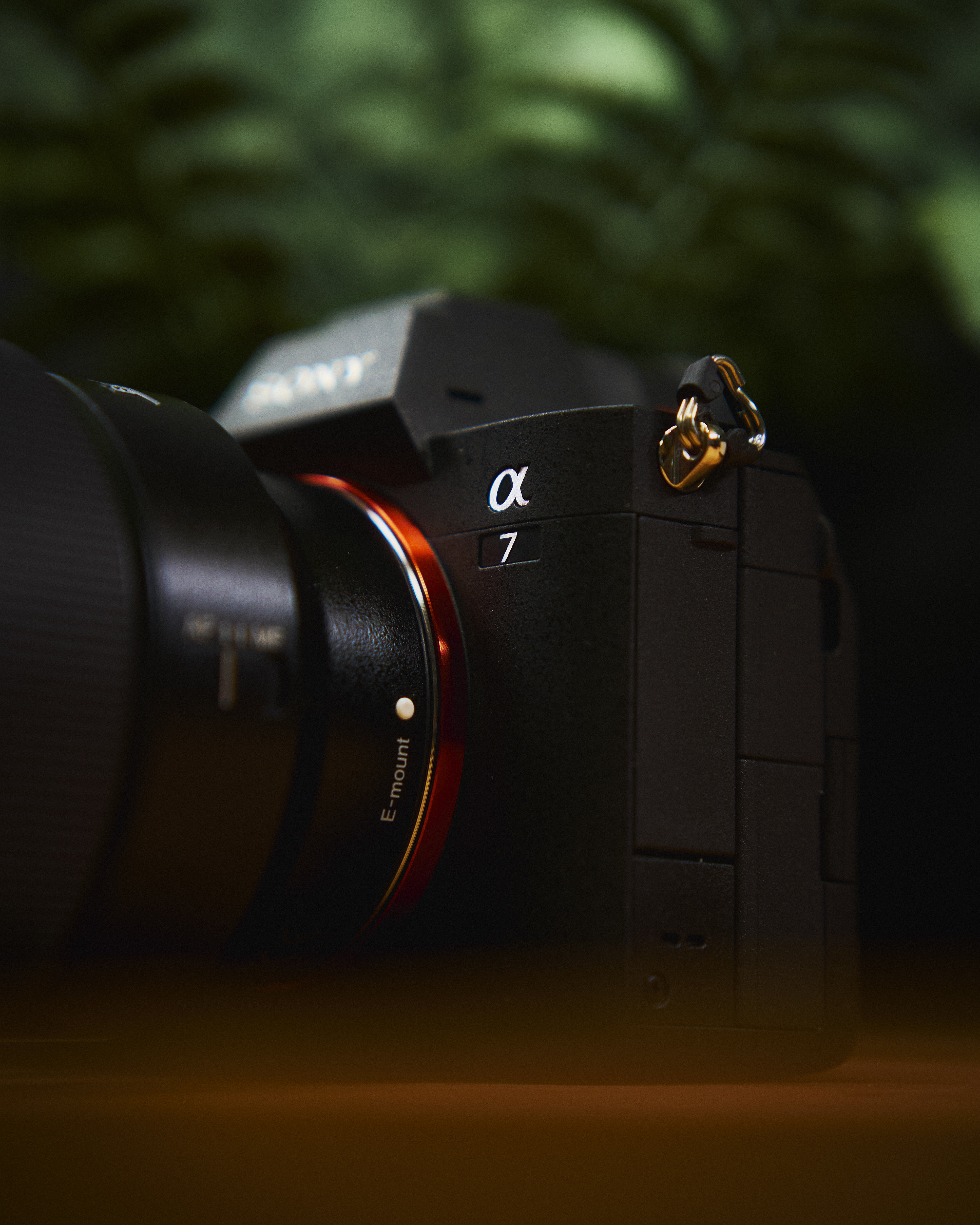 natuurkundige Golf buis What To Know BEFORE You Buy the Sony A7 IV | Hands-On Review - Moment
