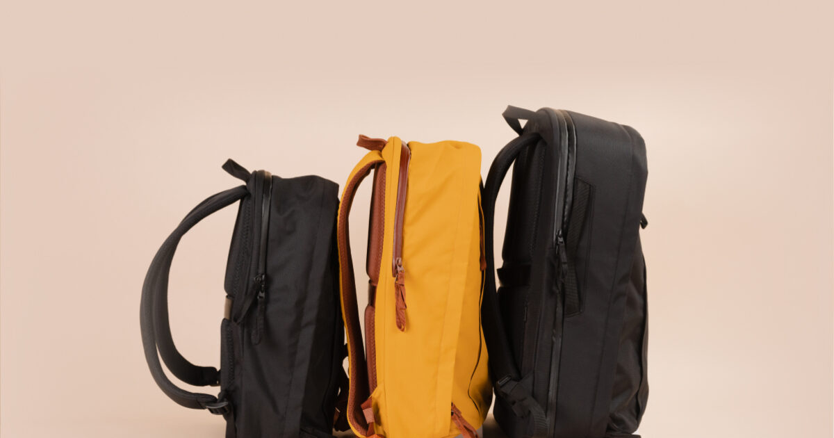 The Everything Backpack Review   Best Bag for Work, Travel   Moment