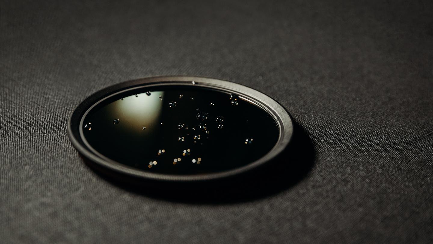 Moment Variable ND Filter with water beads on top of the glass and frame - Moment CineClear UV snap-on filter lifestyle image in nature - Article called "The Ultimate Guide To Camera Filters and Filter Adapters"