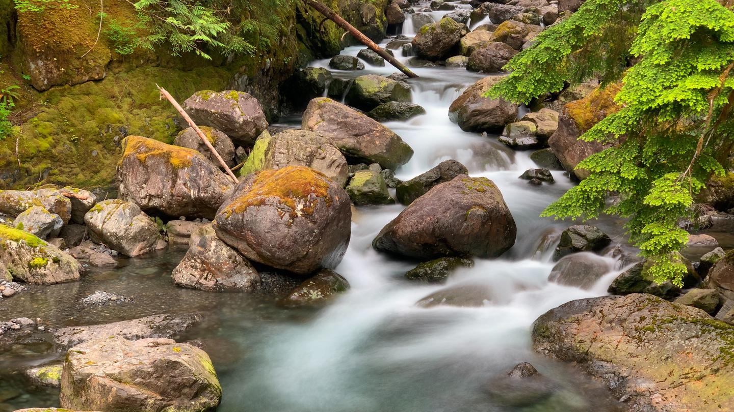 5 Tips for Better Mobile Long Exposure Nature Photography