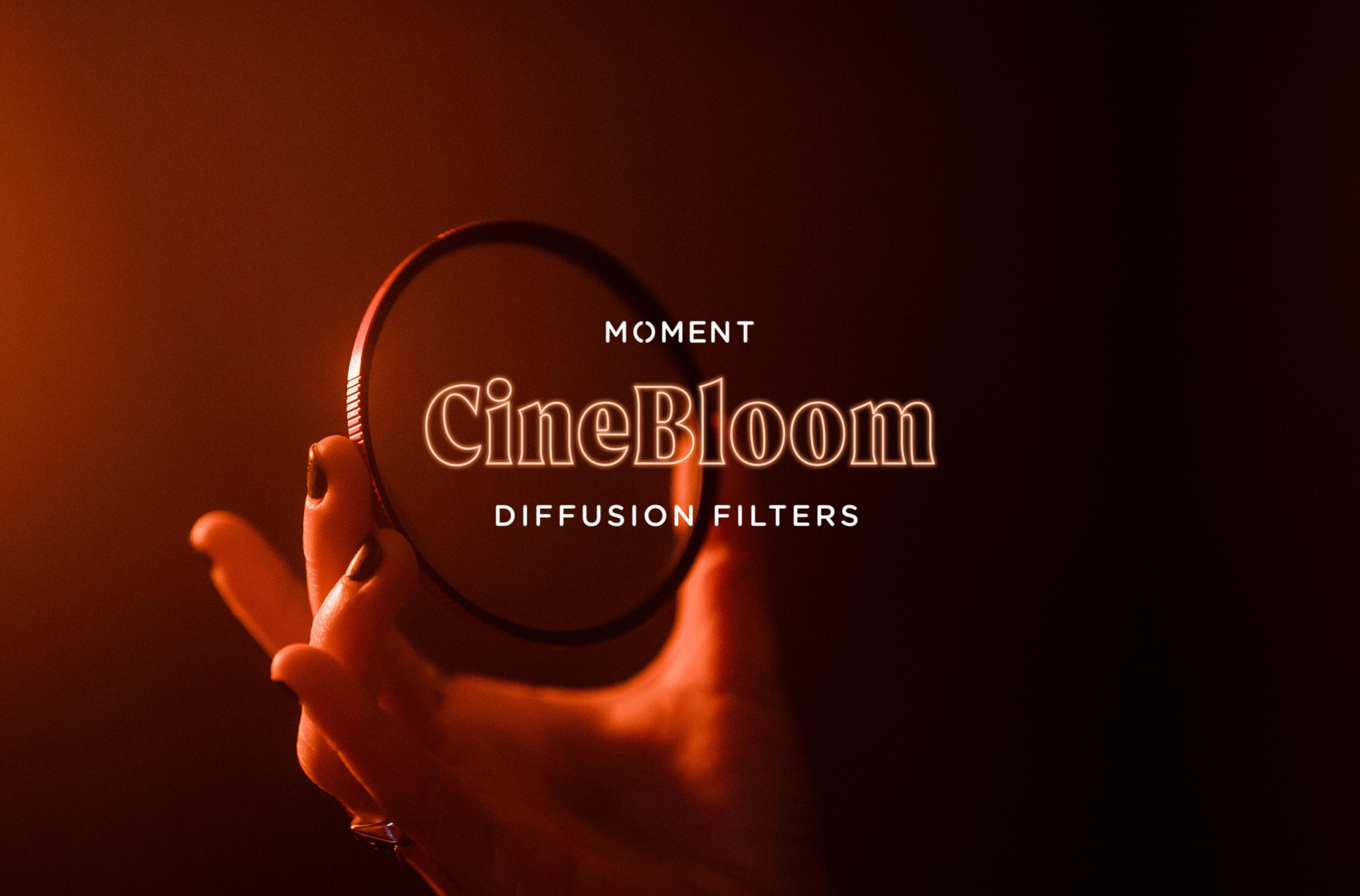 Moment CineBloom Diffusion Filters - Moment