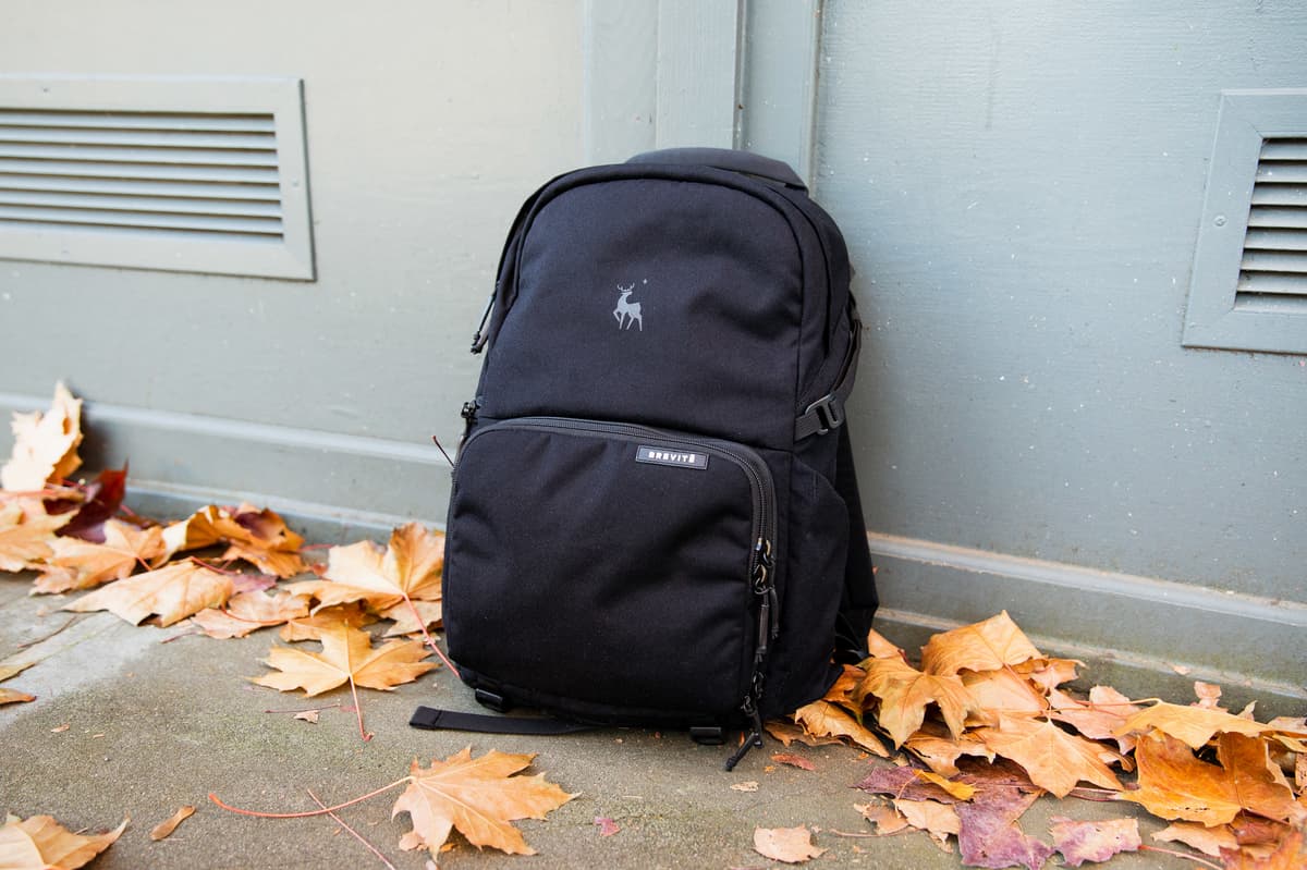 Jumper Backpack - Black backpack resting upon the fallen leaves.