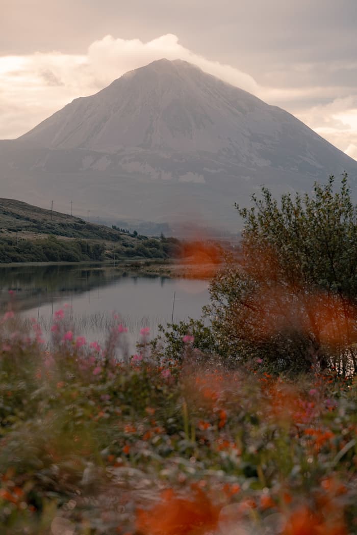 Red flowers sit on the shores of a lake below a tall mountain in Peugeot Arranmore, Ireland